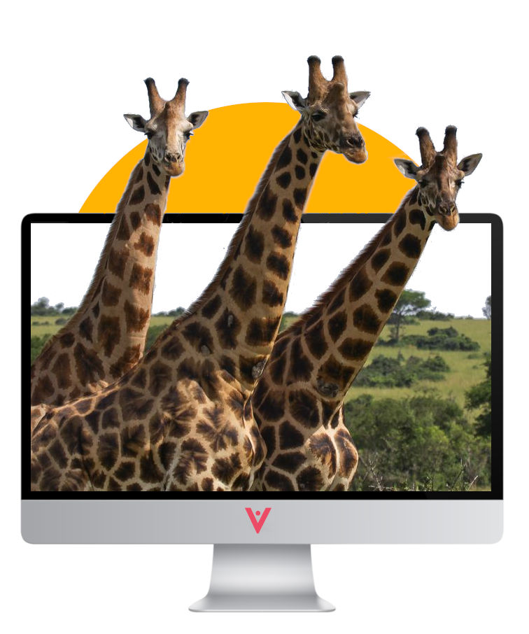 transformación digital